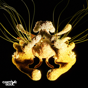 冢本亨利农村剧
